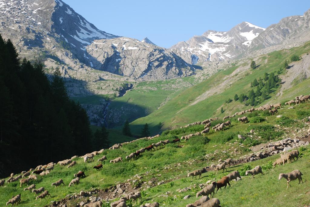 Le Clos Du Berger เลอโซซ ภายนอก รูปภาพ